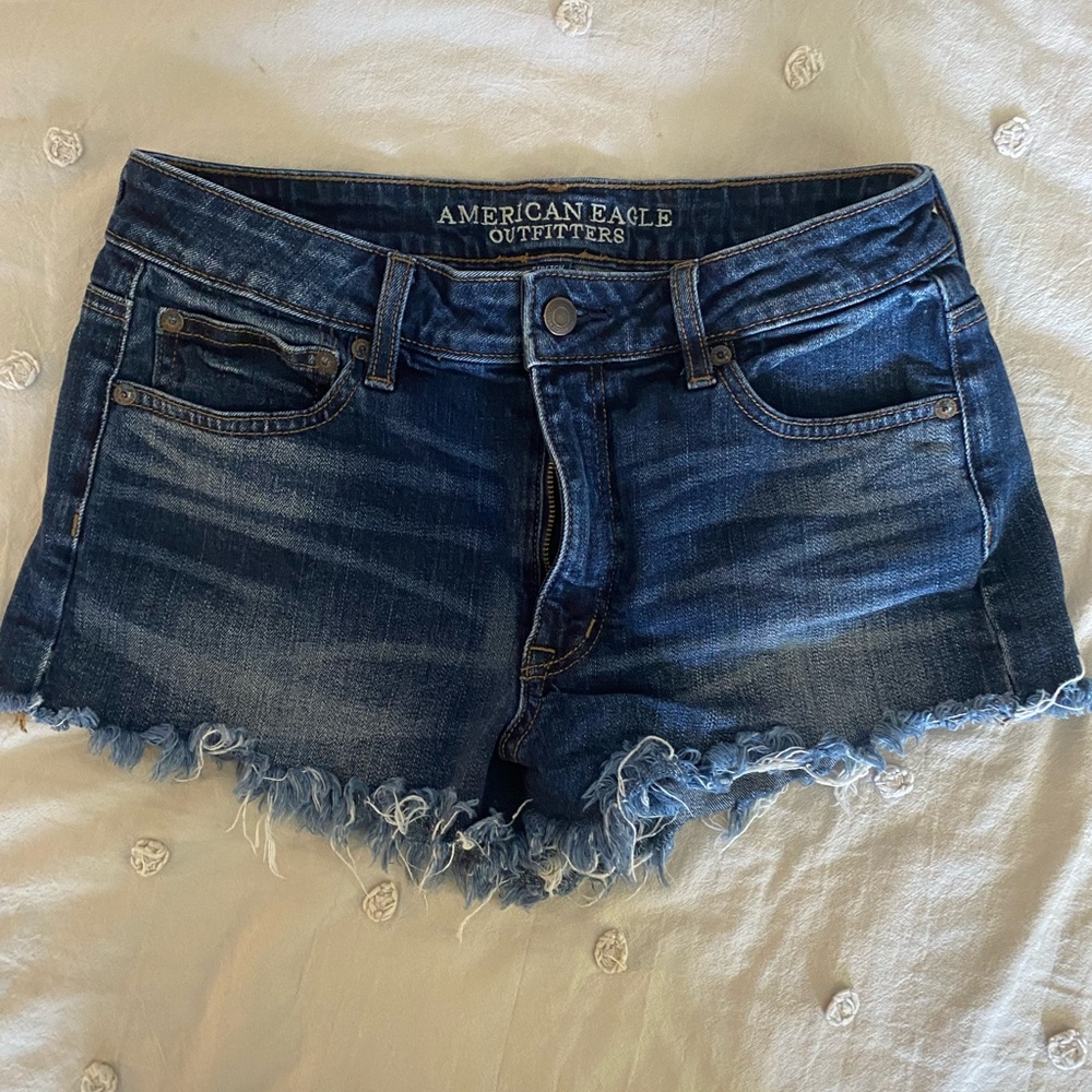 American Eagle Festival Shorts - Dark
